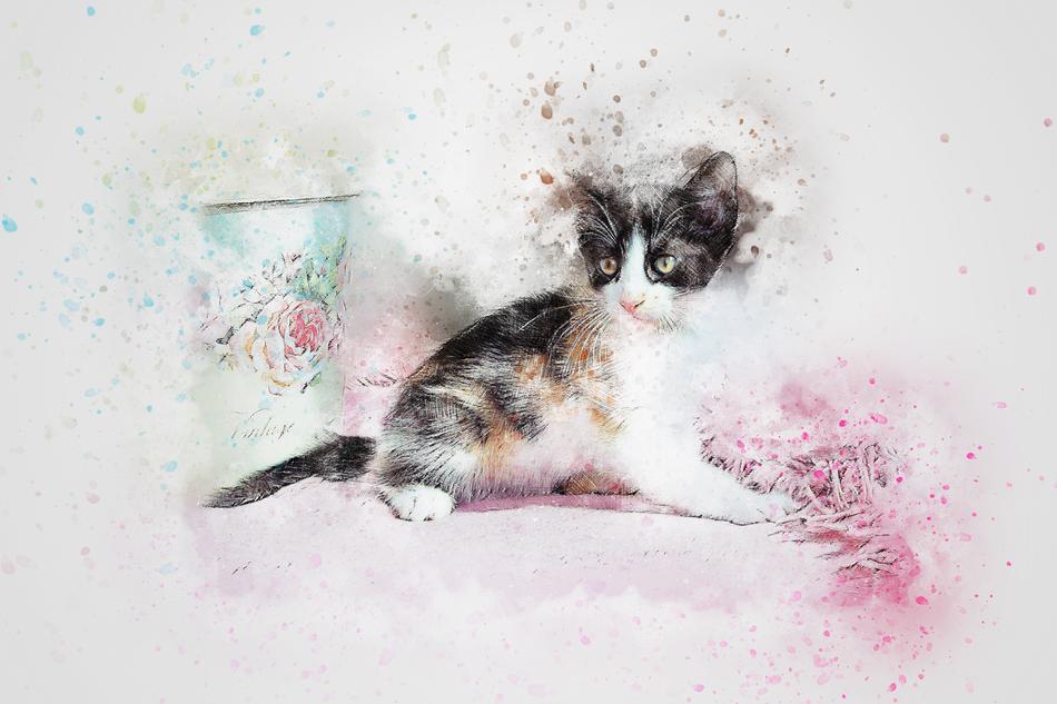 emotional kitten watercolor drawing, digital art