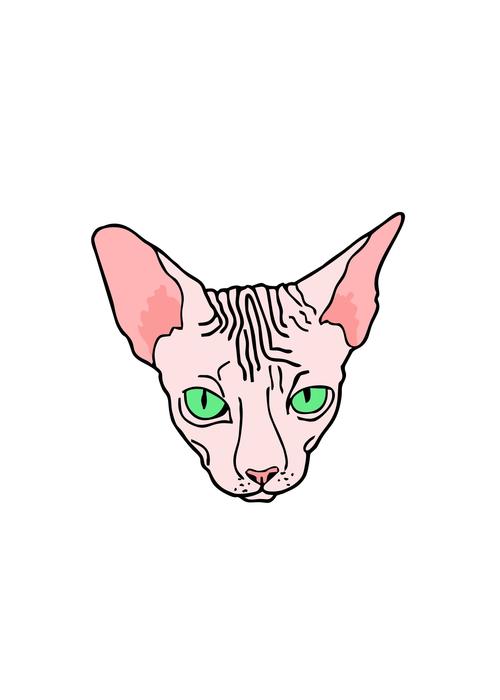 angry face of sphinx cat, drawing