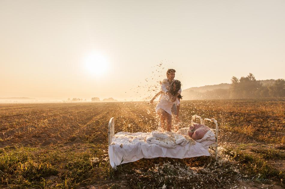 photo session of the newlyweds on the field in the sun