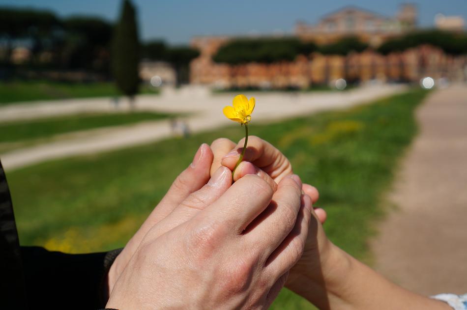 Handa and small Flowers Promise