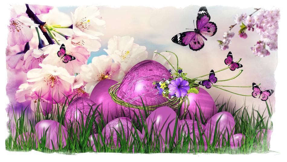 painted purple easter eggs, butterflies and flowering branch