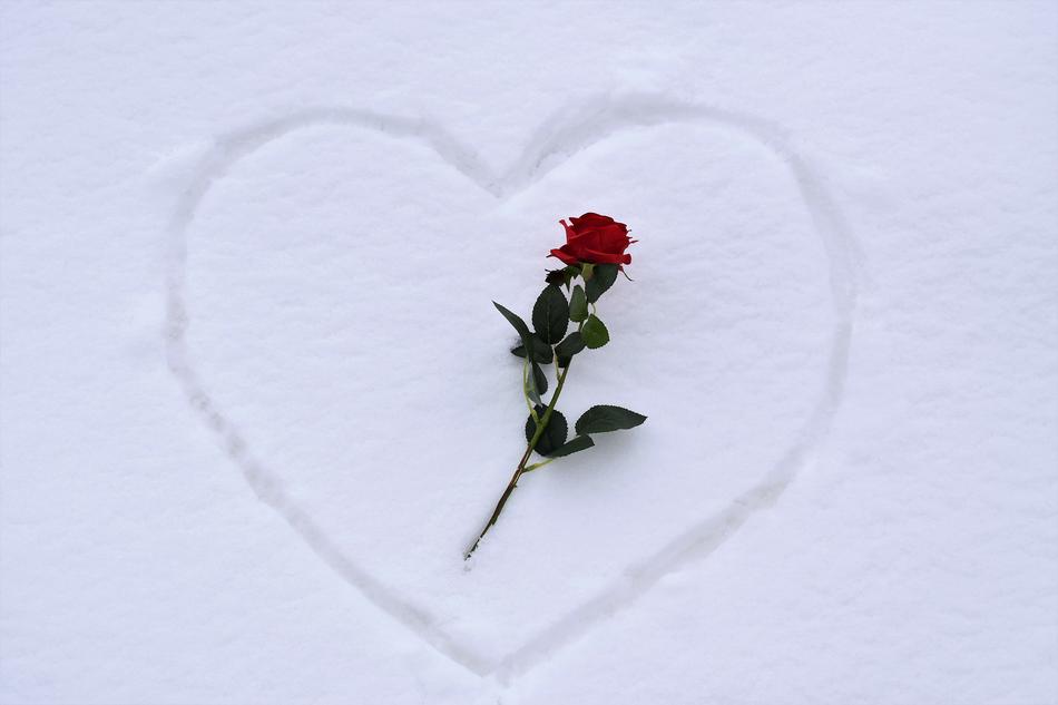 Heart In Snow Red Rose