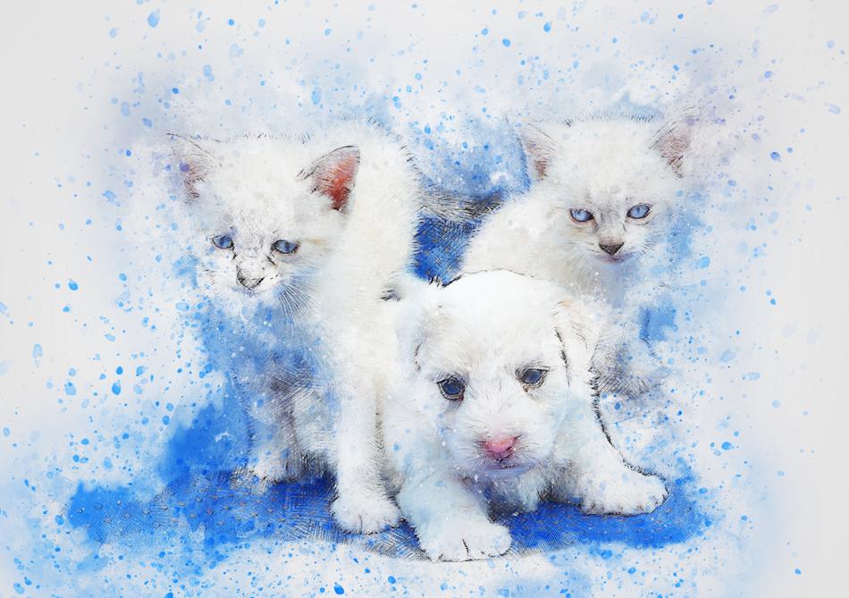 portrait of white kittens and puppy