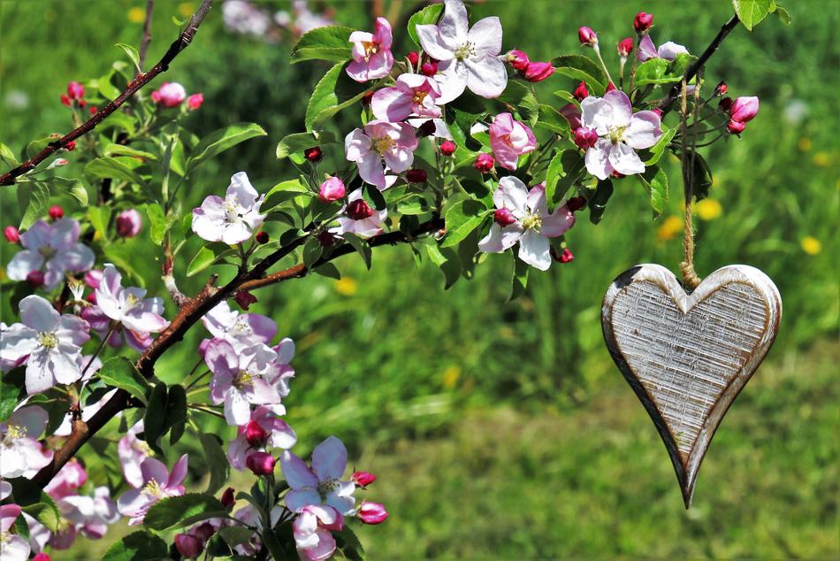 Heart decoration among the colorful flowers
