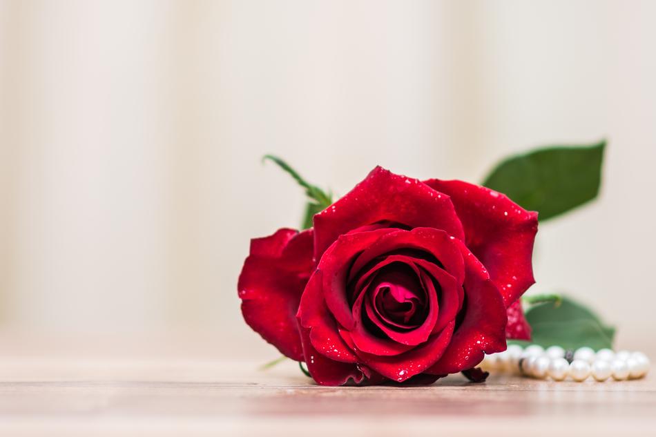 Rose Flowe and pearls