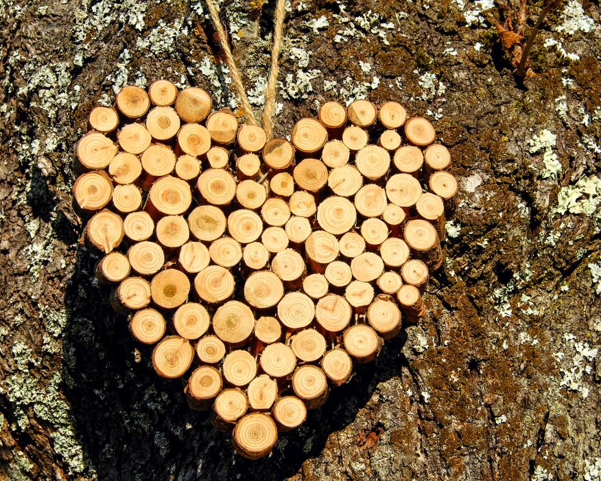 romantic heart with wooden structure