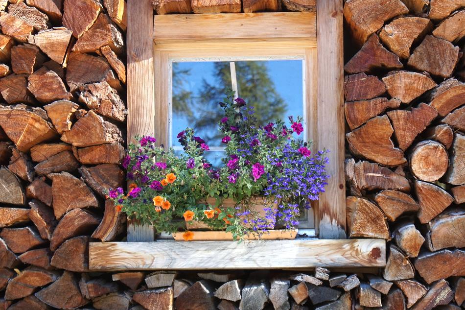 potted flowers on a wooden window among stacked firewood