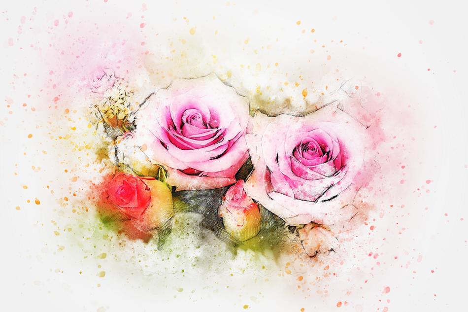 roses, digital art