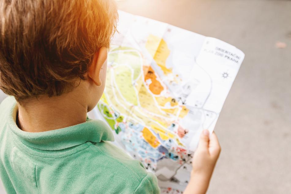 Child Boy with map