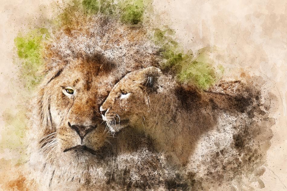 Beautiful and colorful drawing of the lion and liones