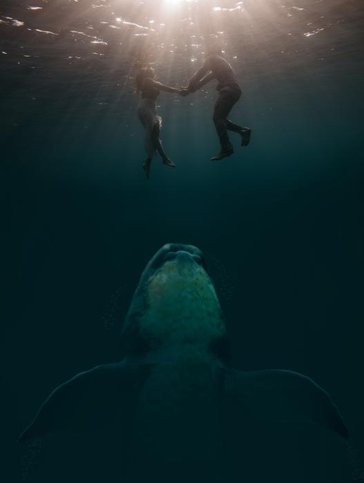 painted floating pair and whale underwater