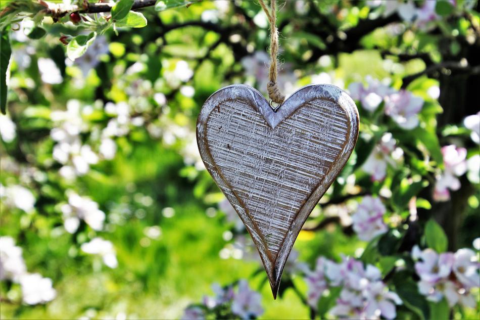 Heart Wood garden