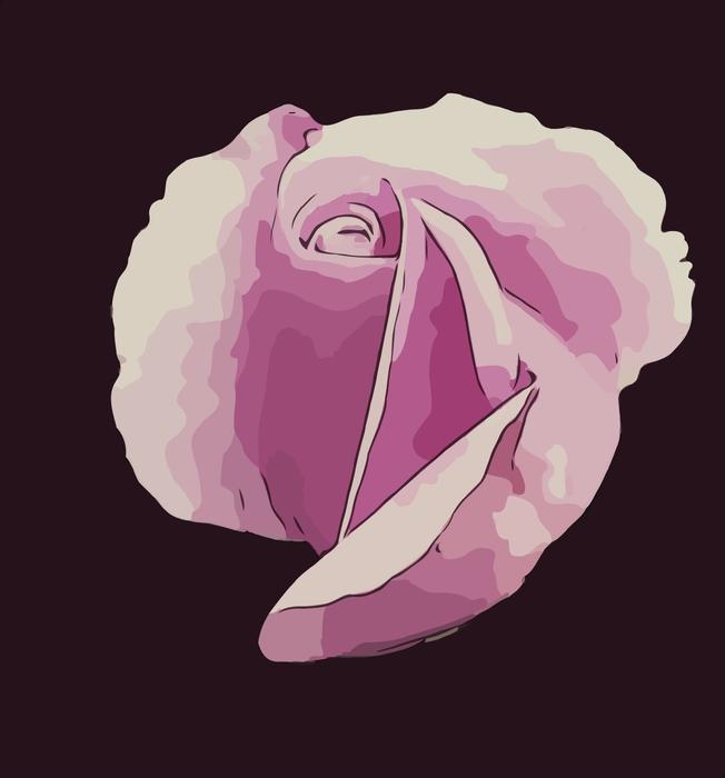 purple rose, drawing