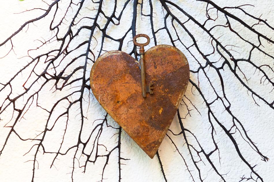 rusty heart with a key on a background of black tree roots