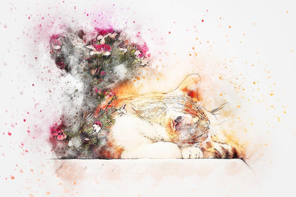 cat sleeping beside of flowers, digital art
