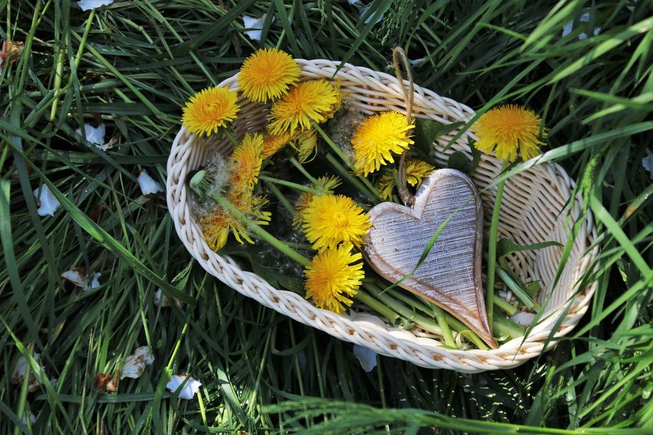 Spring Dandelion basket