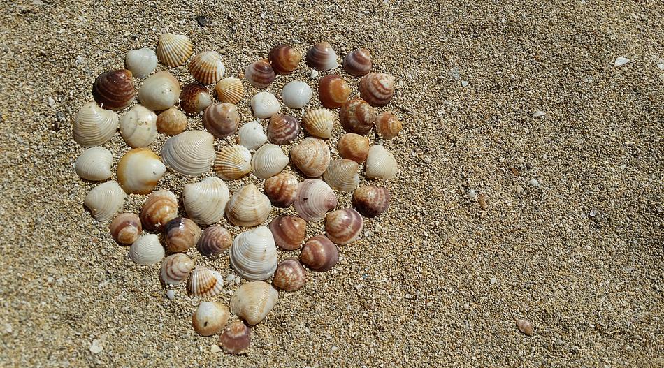 Heart Mussels sand