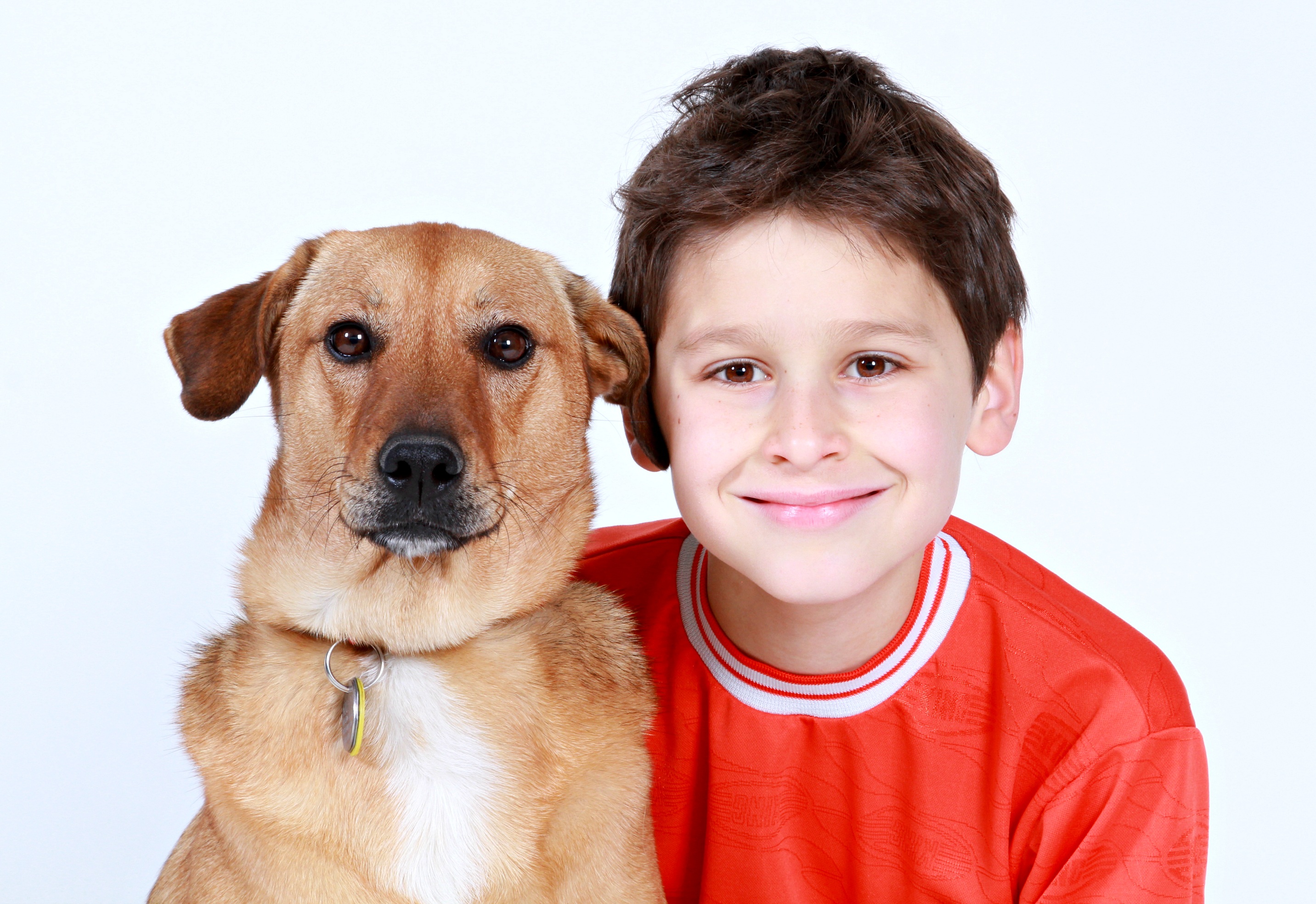 Boy in a red t-shirt with a pet dog free image download