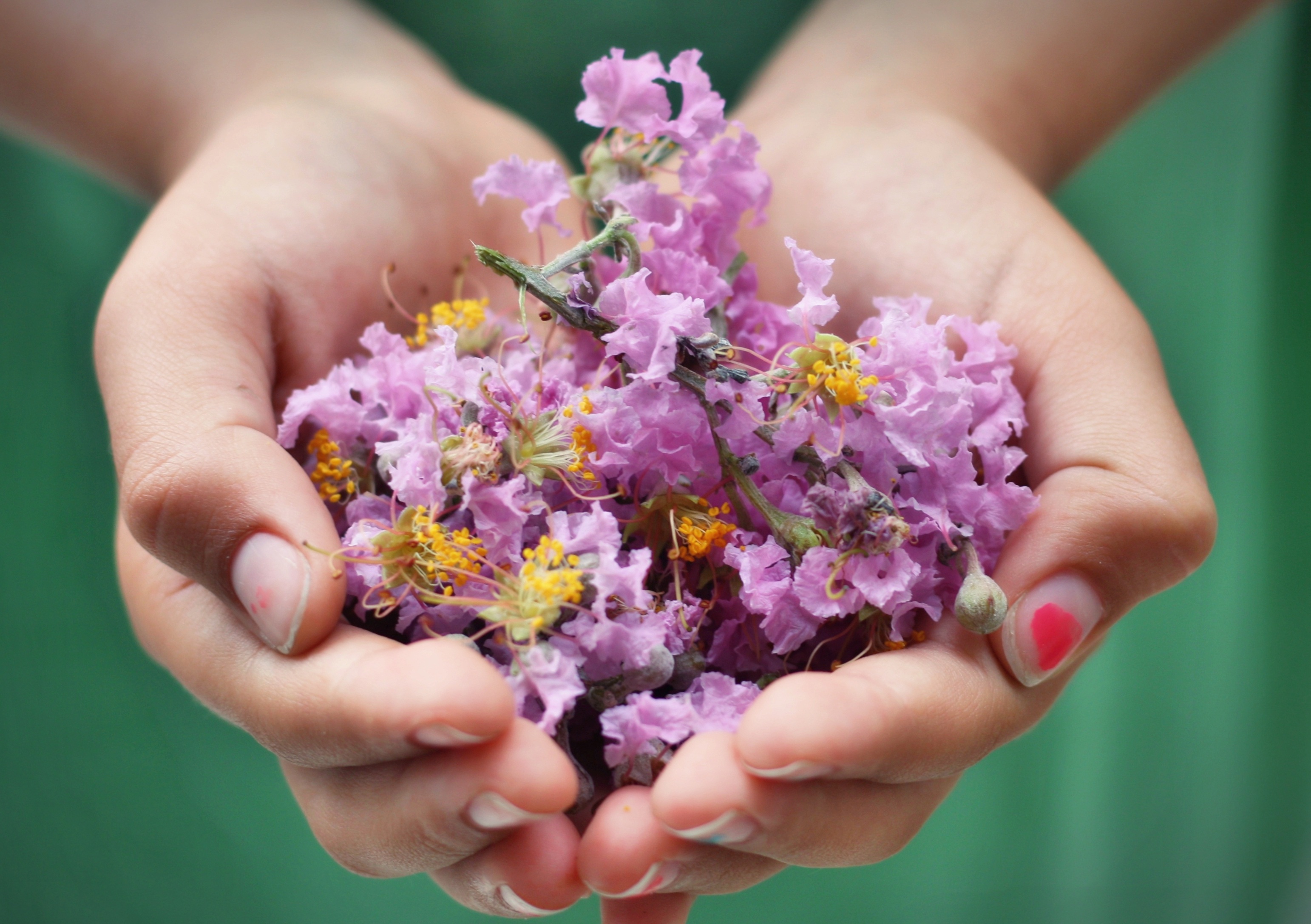 Flowers representing gratitude