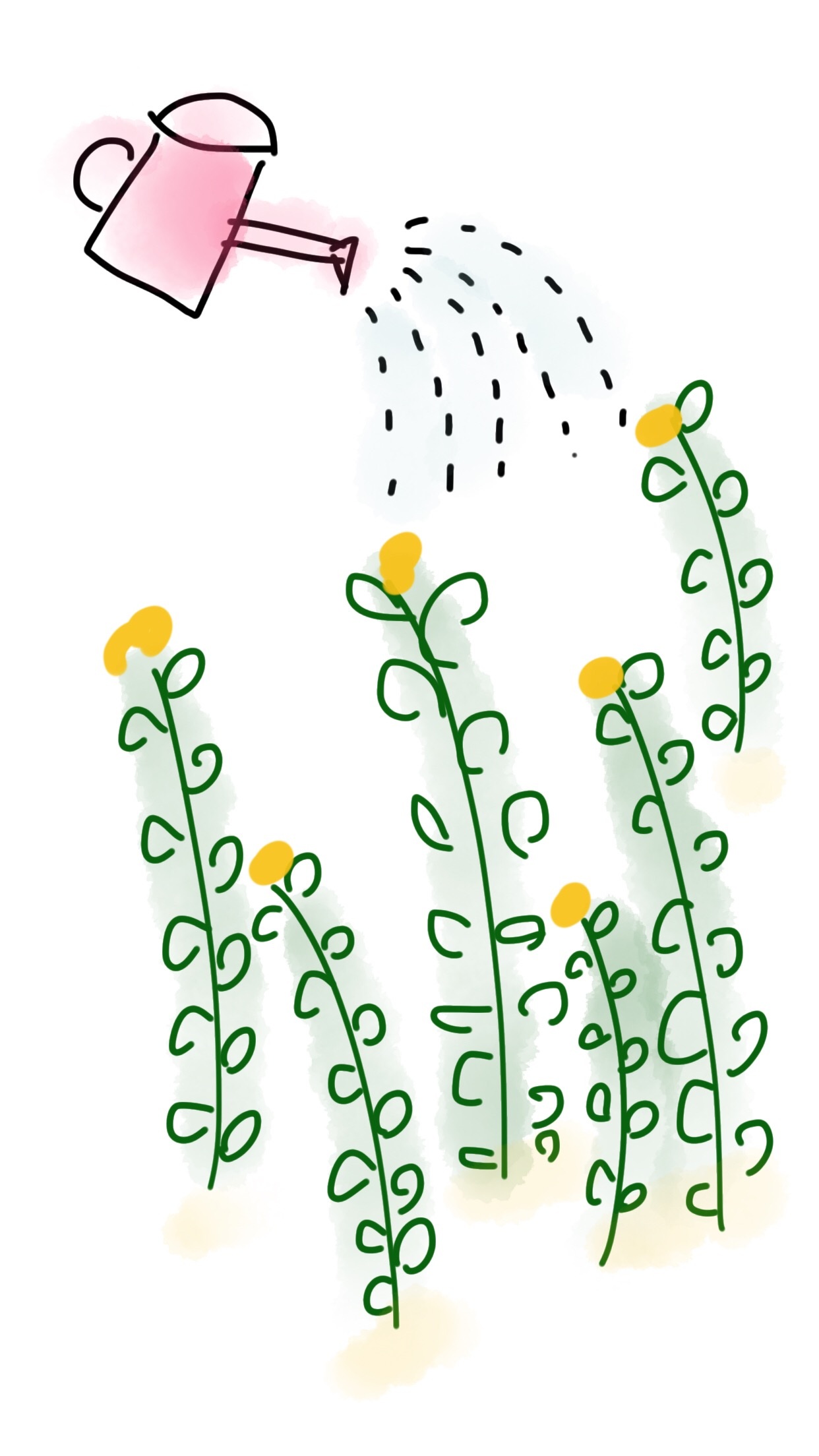 Flowers watering drawing free image download