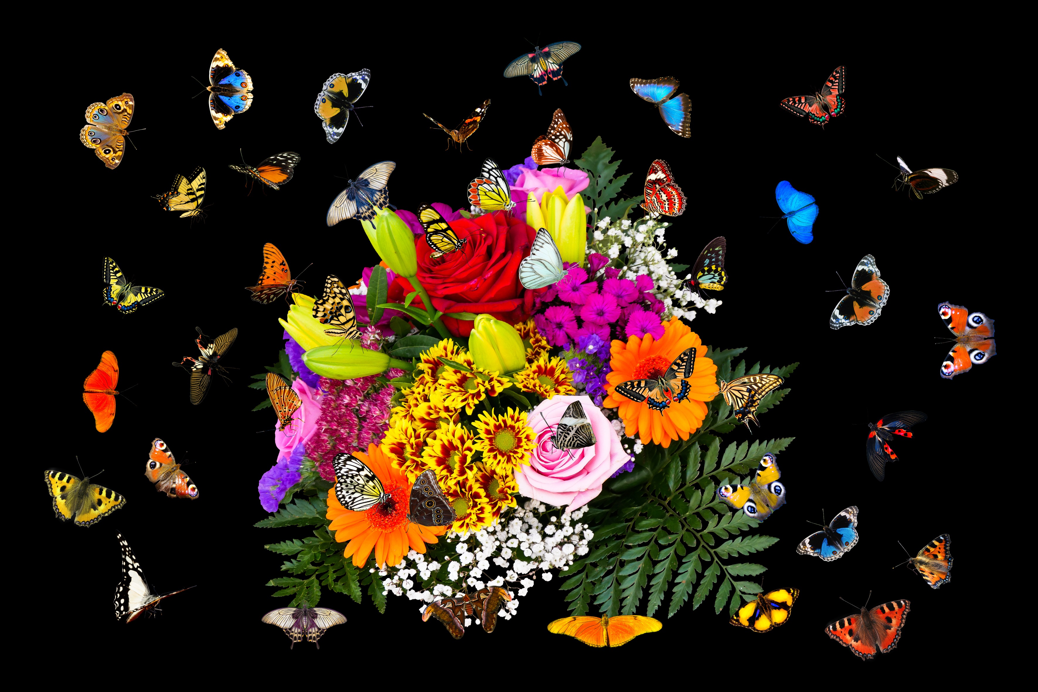 Emotions Flowers Butterflies papper free image download