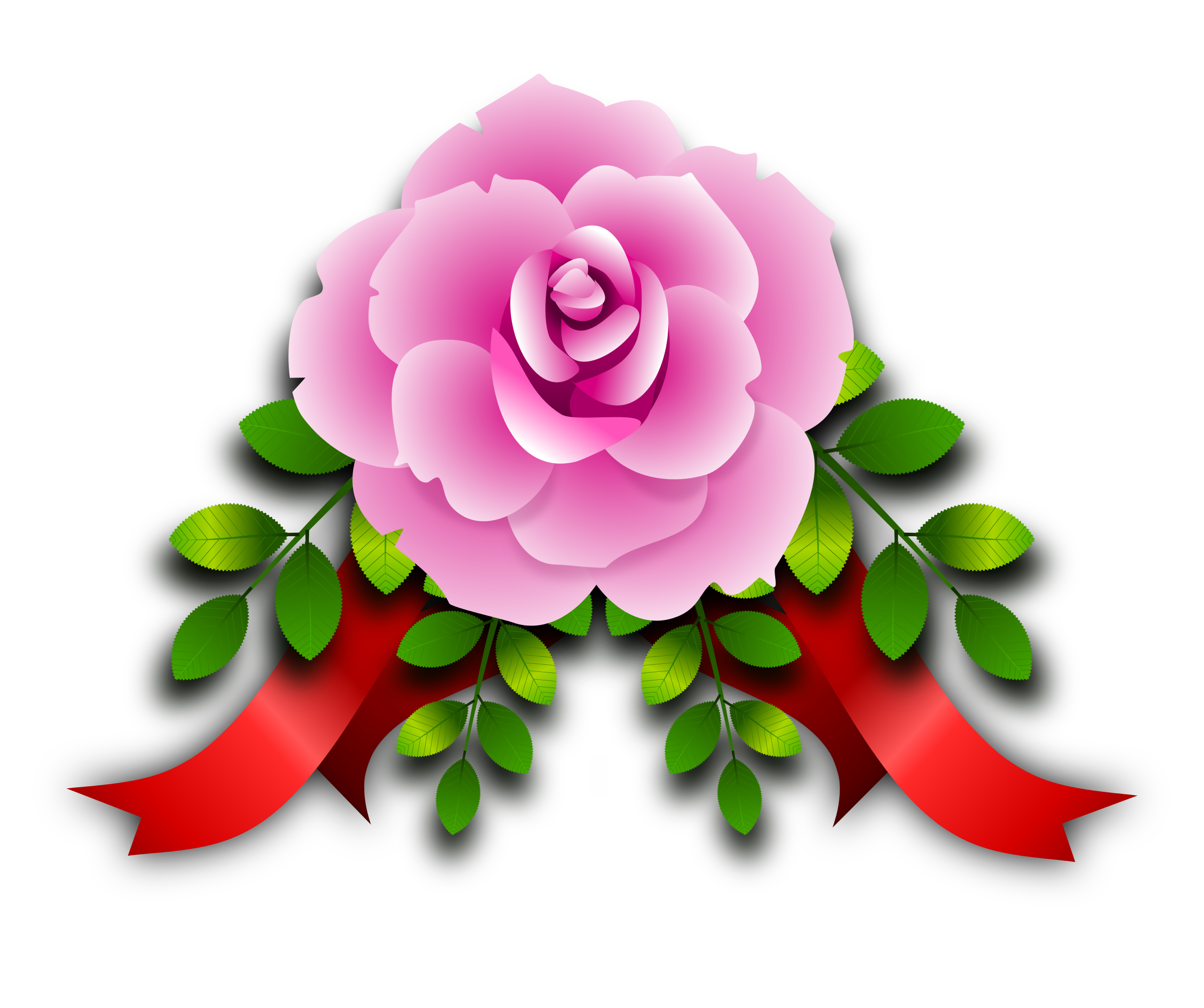 close-up-of-the-beautiful-pink-and-white-rose-flower-with-green