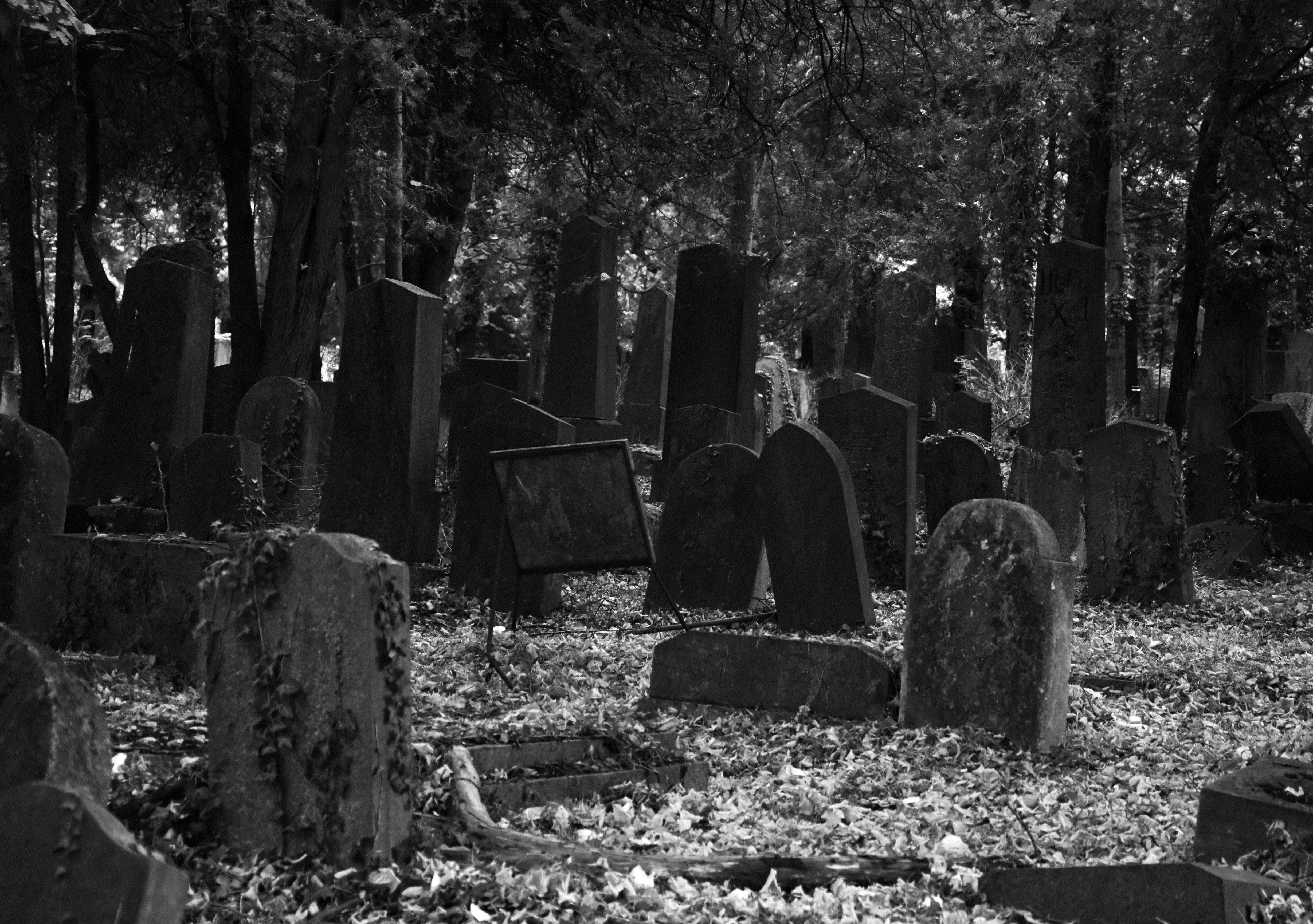 Можно на кладбище читать. Могильный камень старое кладбище. Надгробная плита заброшенное кладбище. Мрачное кладбище.