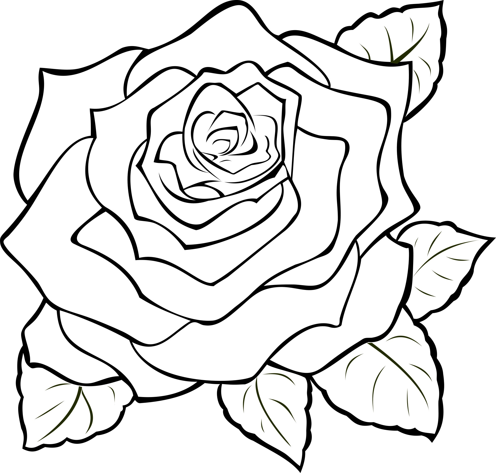 Контур скопировать. Цветы. Раскраска. Раскраски цветы красивые. Рисунок розы для срисовки.