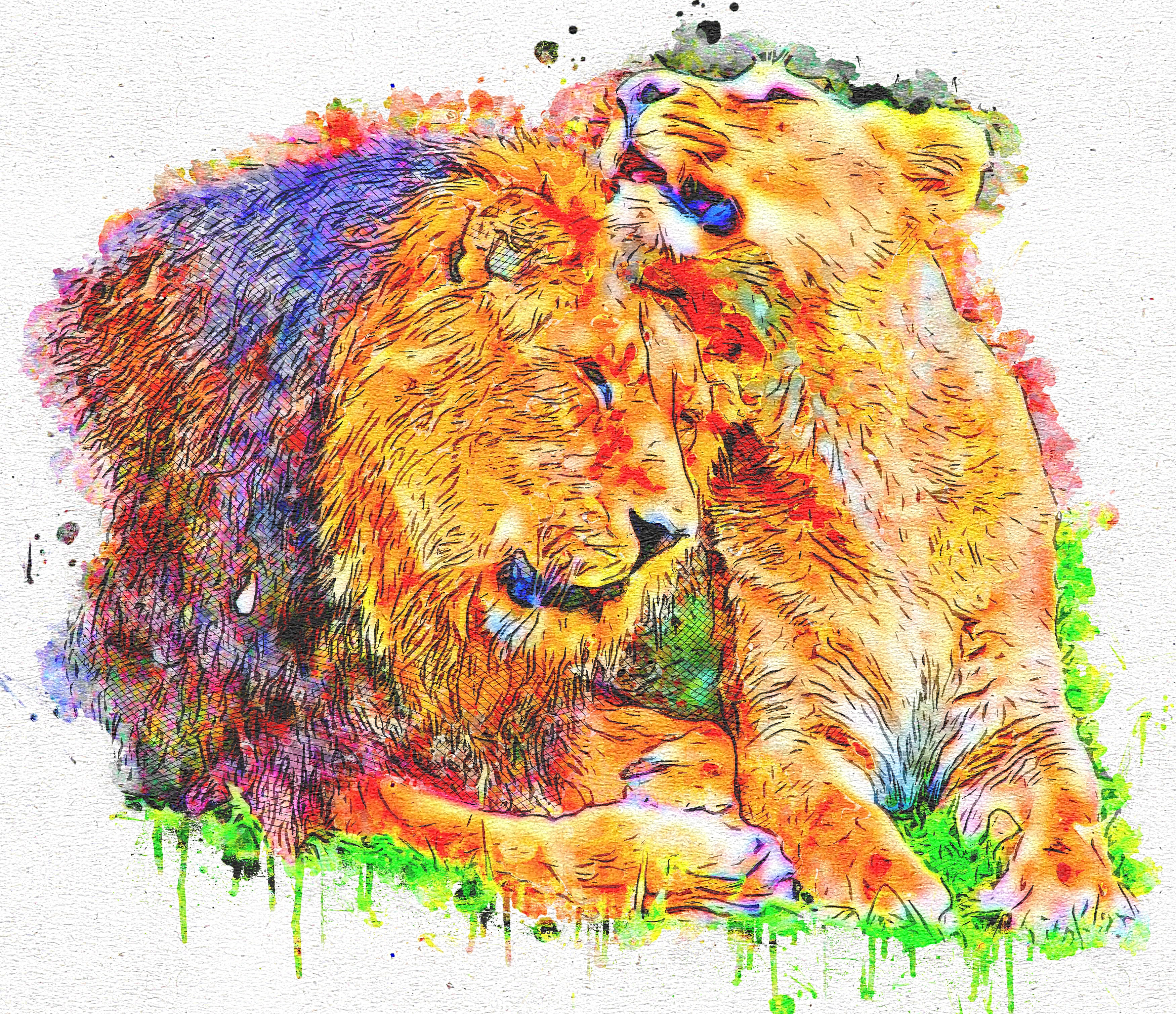 Лев и львица акварель