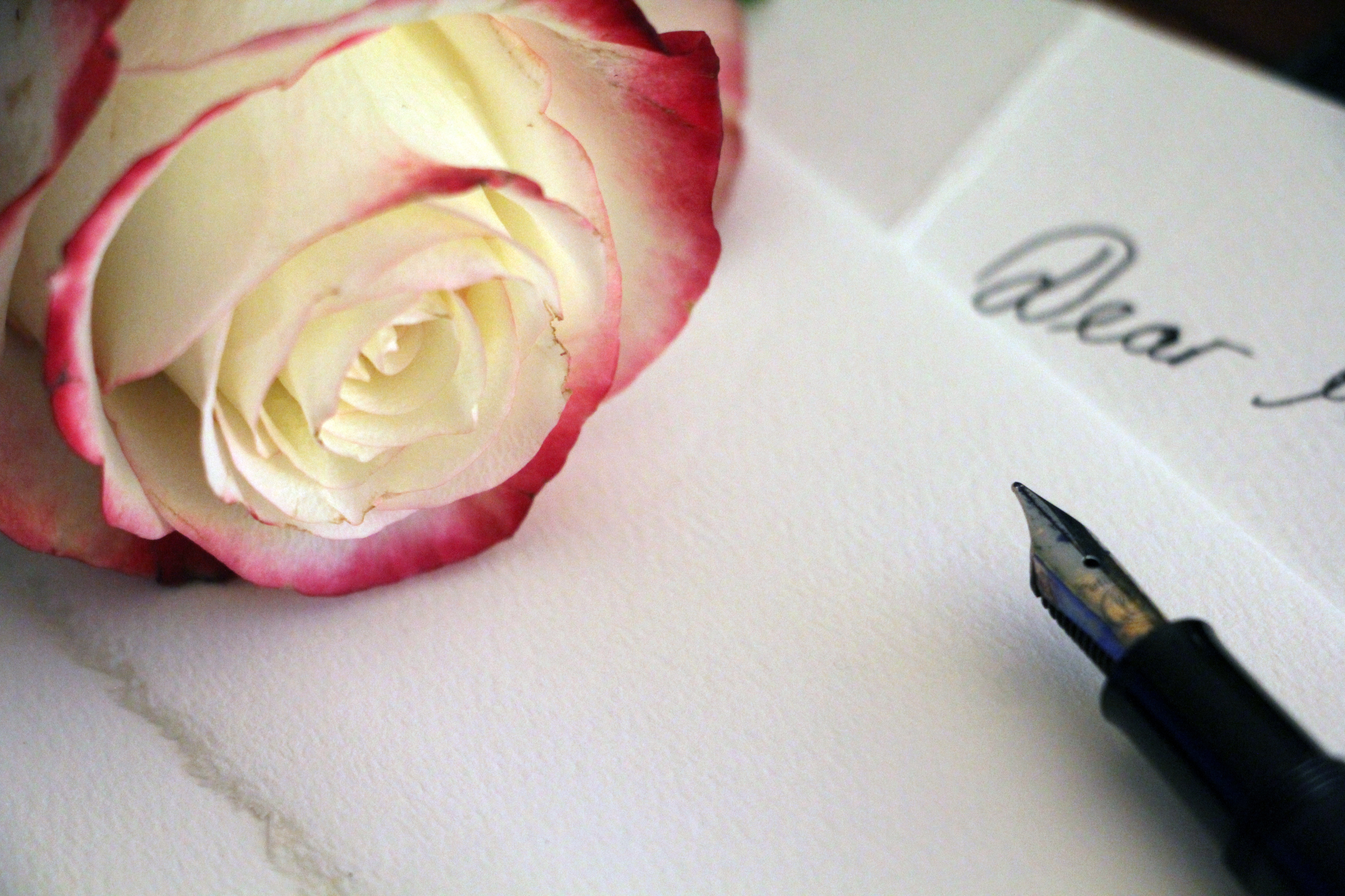 грустной запятой роза на столе
