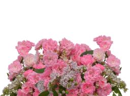 isolated bouquet with pink flowers