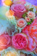 bunch of colorful roses, background