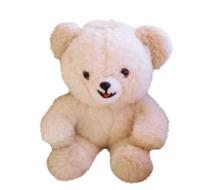 photo of a white teddy bear on a white background