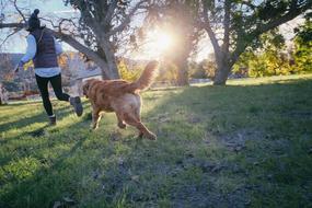 jogging woman with dog