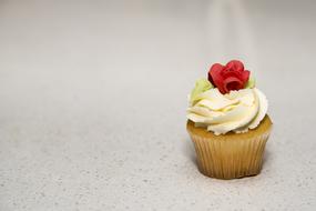 Food Cupcake