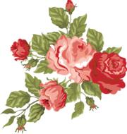 rose pink red romantic drawing