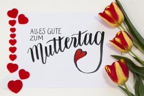 tulips and Mother's Day Celebrating card