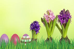 Easter Grass flowers