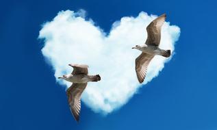 gulls and heart love clouds