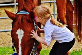photo of a girl kissing a brown horse