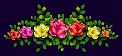 bright roses at black background, floral ornament