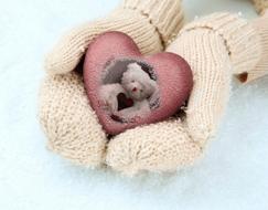 Beautiful red heart with the Teddy Bear in wool gloves