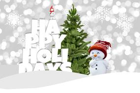 Christmas Happy Holidays Winter card