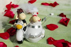 Wedding Bride And Groom Figure decor