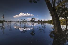 Beautiful water, with the reflections, among the colorful forest, at blue sky with clouds on background