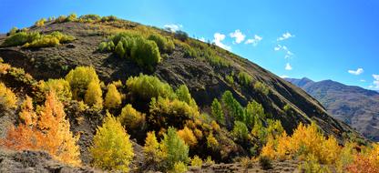 colorful trees on hill at sunny day, Autumn landscape