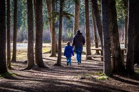 Family Hiking forest