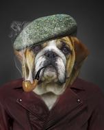 dog hat and pipe