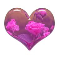 heart rose element pink drawing