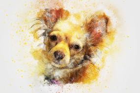 dog art abstract watercolor drawing